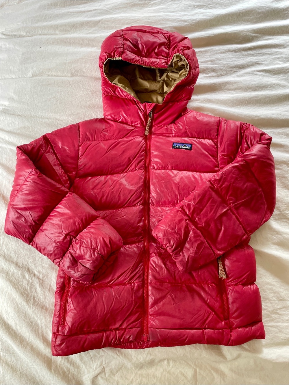 Patagonia Red Puffy Jacket (Kid’s Small)